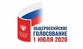 О голосовании по вопросу изменений в Конституцию Российской Федерации 